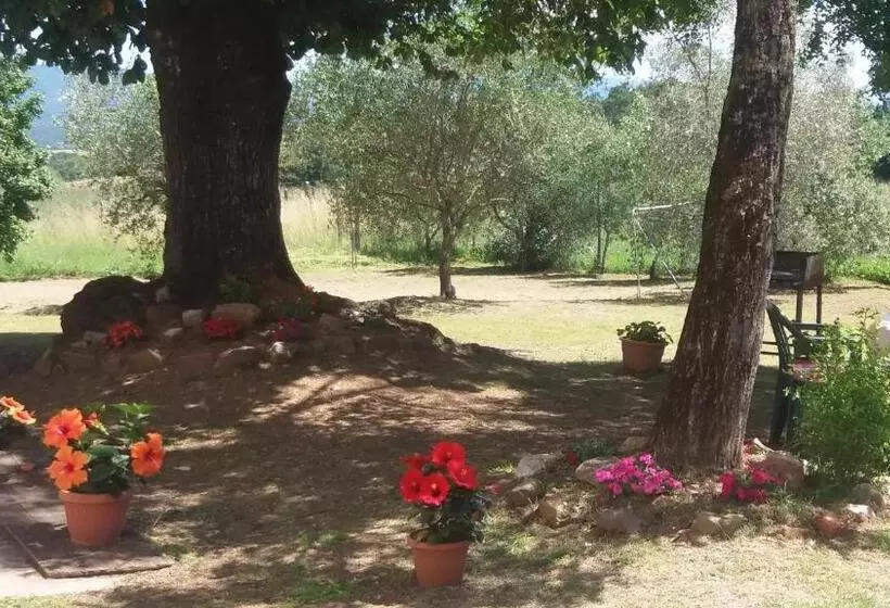 Aamiaismajoitus (B&B) Azzurre Beb