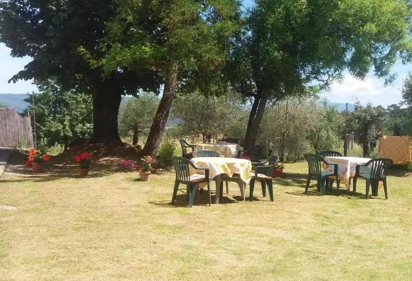 Aamiaismajoitus (B&B) Azzurre Beb