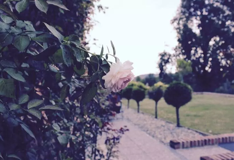 ベッドアンドブレックファースト Cascina Castagneto