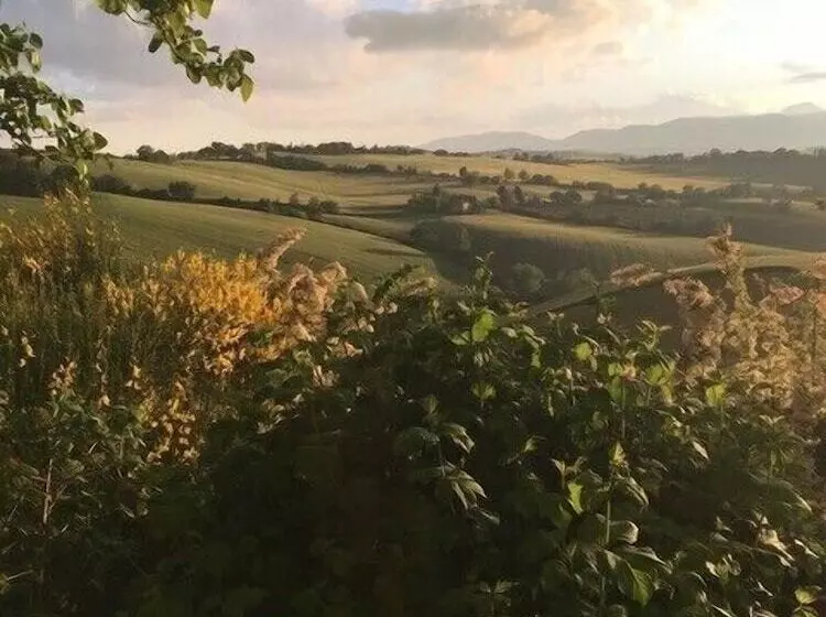 Aamiaismajoitus (B&B) Relais Il Margarito