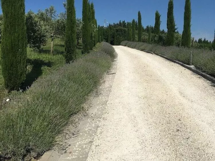 Aamiaismajoitus (B&B) Relais Il Margarito