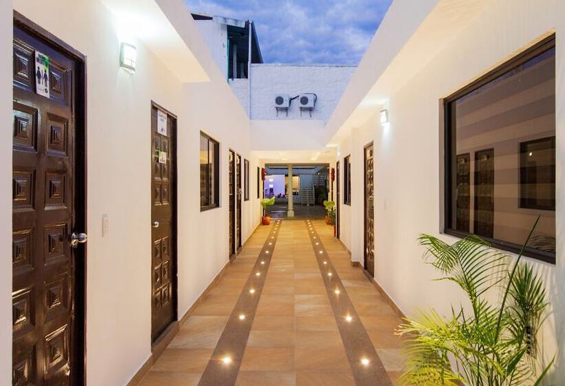 בית מלון כפרי Oasis De La Colina Boutique