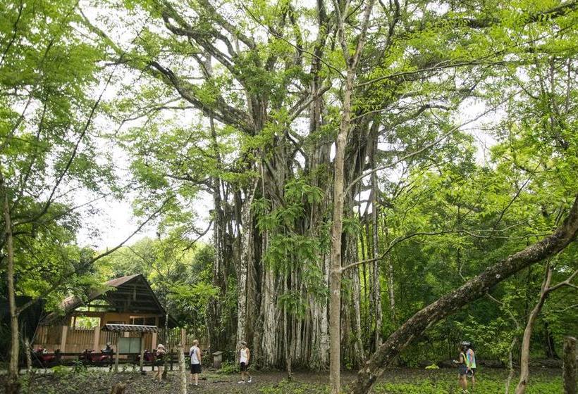 酒店 Vista De Olas
