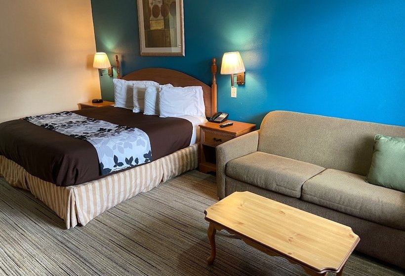 فندق على الطريق Ashwood Inn & Suites