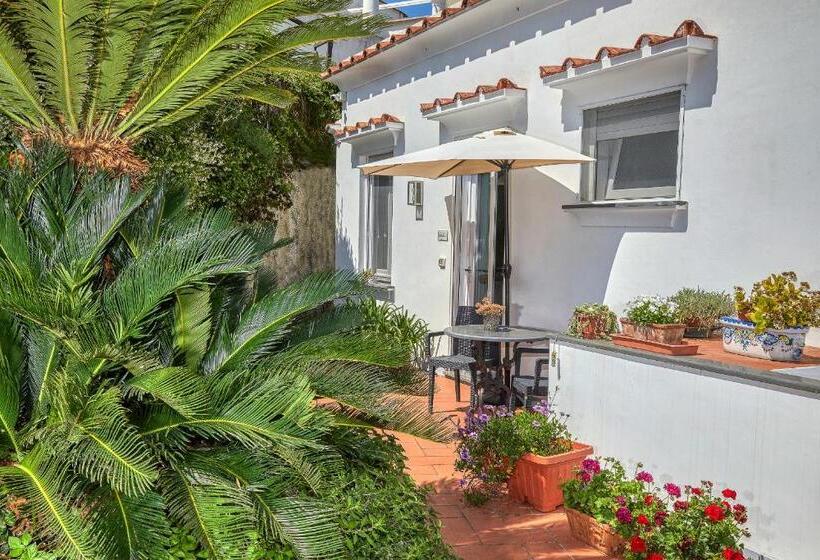 צימר Acquaviva 31