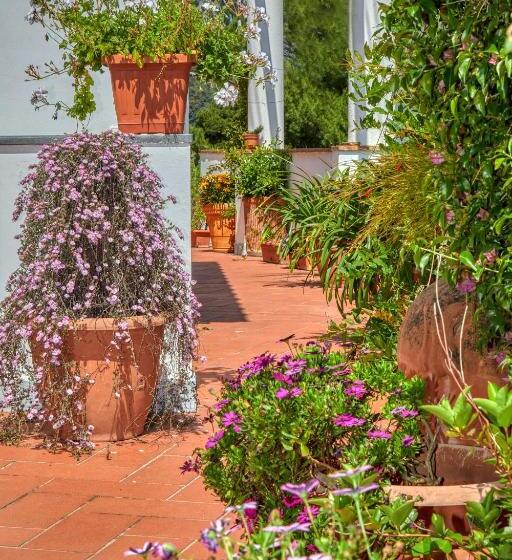 צימר Acquaviva 31