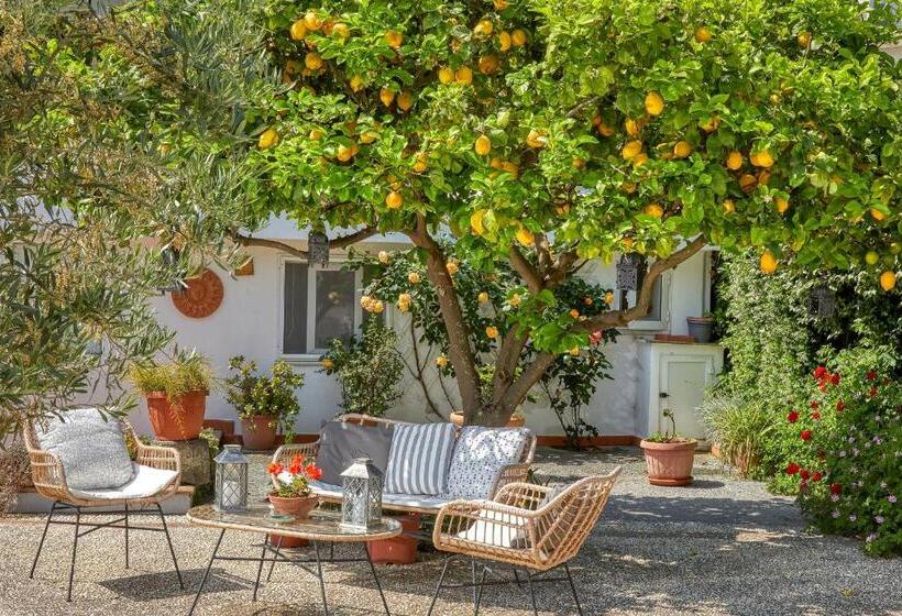 צימר Acquaviva 31