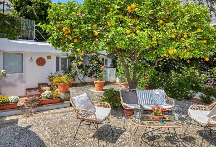 צימר Acquaviva 31