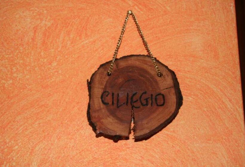 민박 Agriturismo Cascina La Palazzina