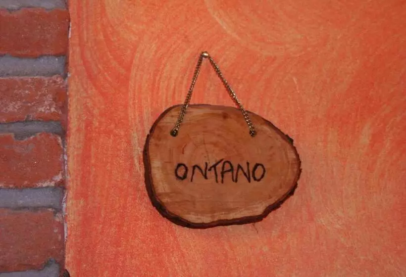 ベッドアンドブレックファースト Agriturismo Cascina La Palazzina