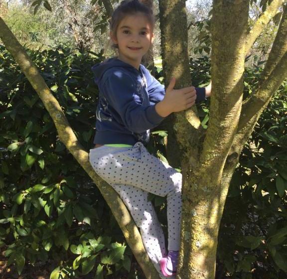 Bed and Breakfast Agriturismo Casale Loreto