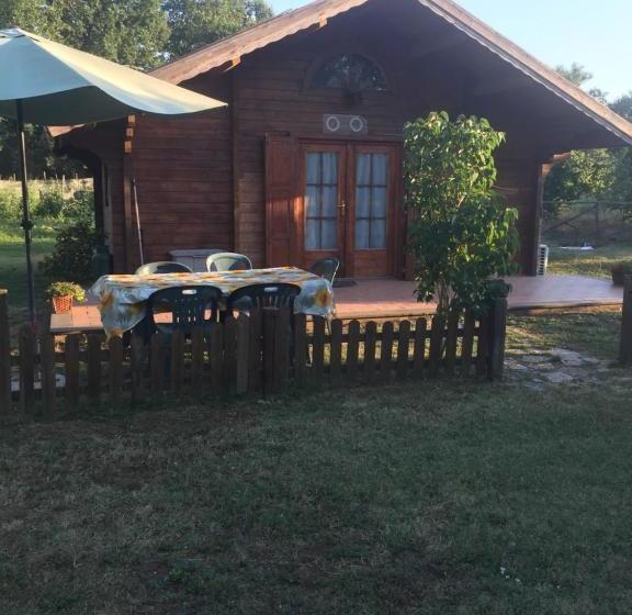 Bed and Breakfast Agriturismo Casale Loreto