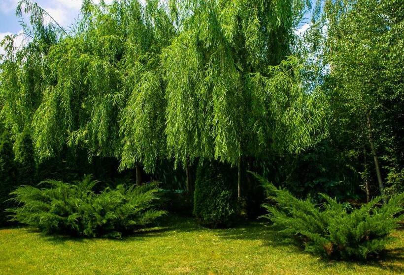 فندق Vila Belvedere