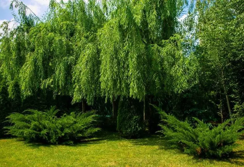 هتل Vila Belvedere