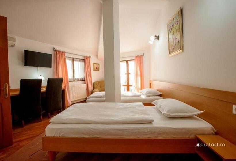 فندق Vila Belvedere