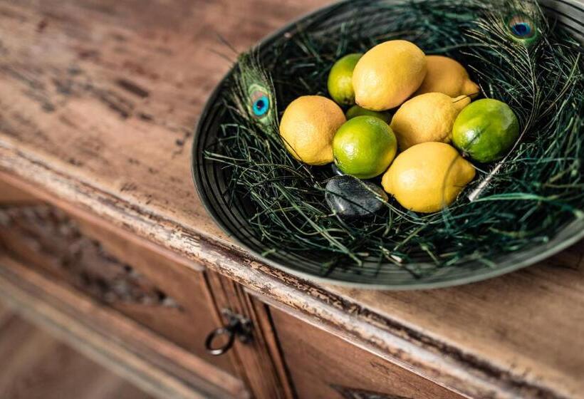 בית מלון כפרי Krause