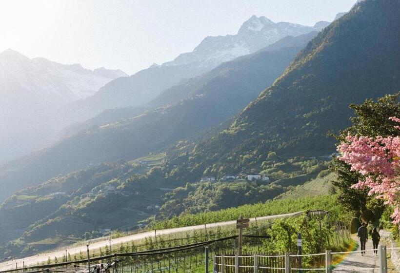 בית מלון כפרי Paradies