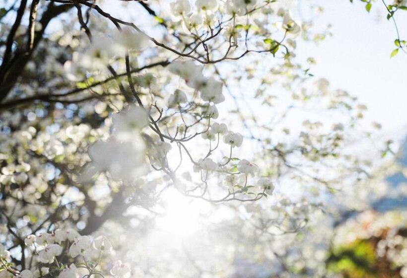 בית מלון כפרי Paradies