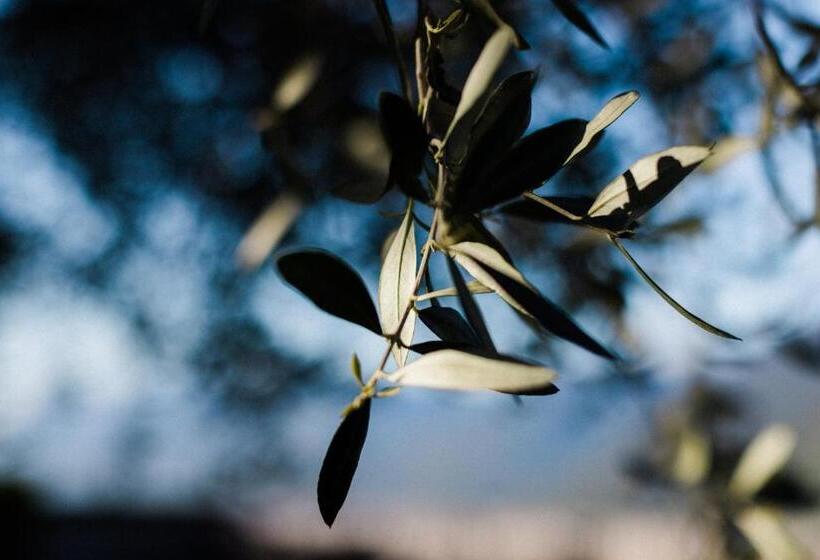 בית מלון כפרי Paradies