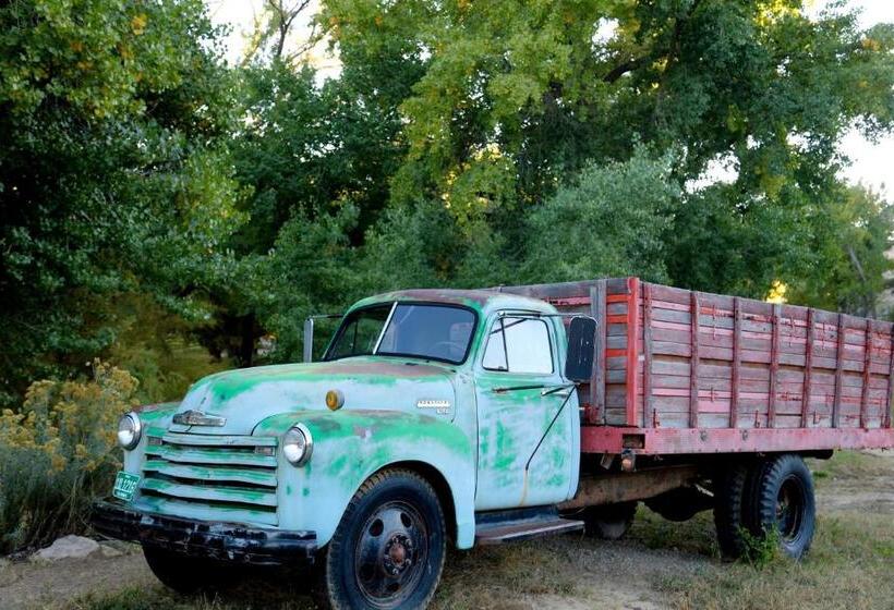 리조트 Canyon Of The Ancients Guest Ranch