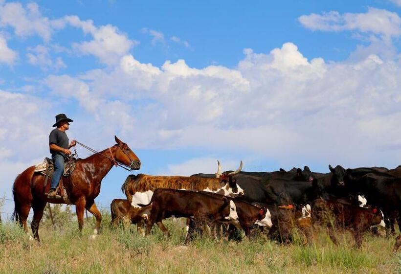 리조트 Canyon Of The Ancients Guest Ranch