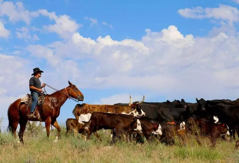 リゾートホテル Canyon Of The Ancients Guest Ranch