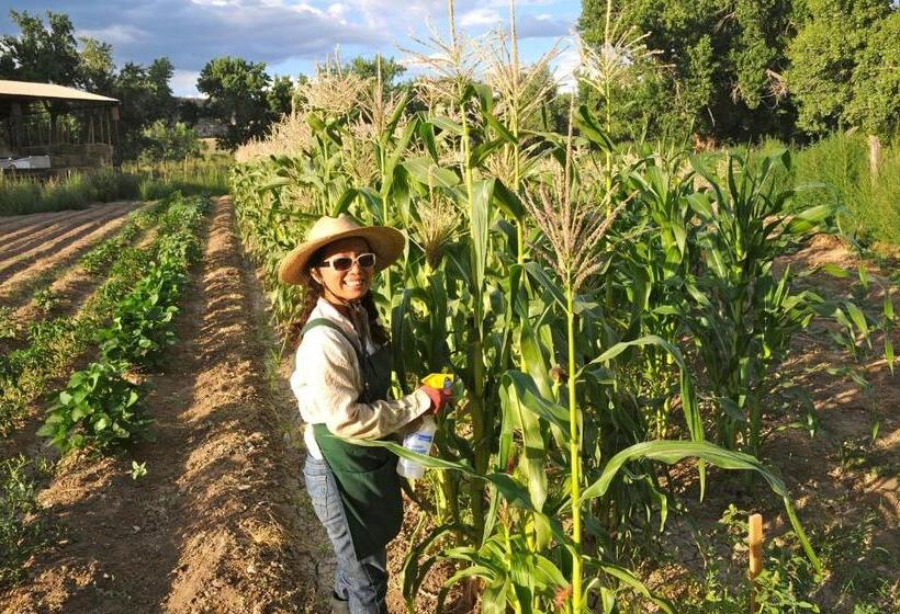 리조트 Canyon Of The Ancients Guest Ranch