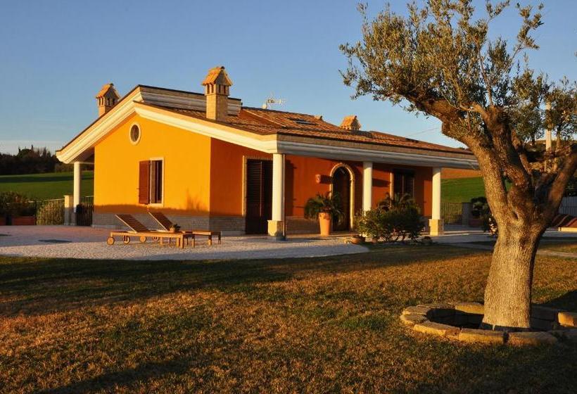 B&b Agrifoglio