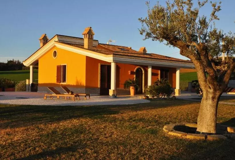 B&b Agrifoglio