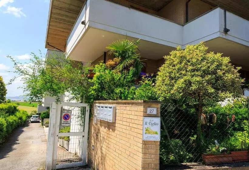 B&b Il Tiglio