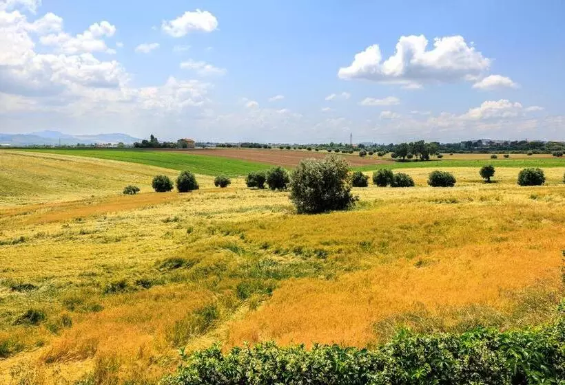 B&b Il Tiglio