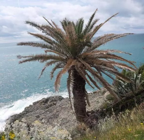 Aamiaismajoitus (B&B) Fabienne