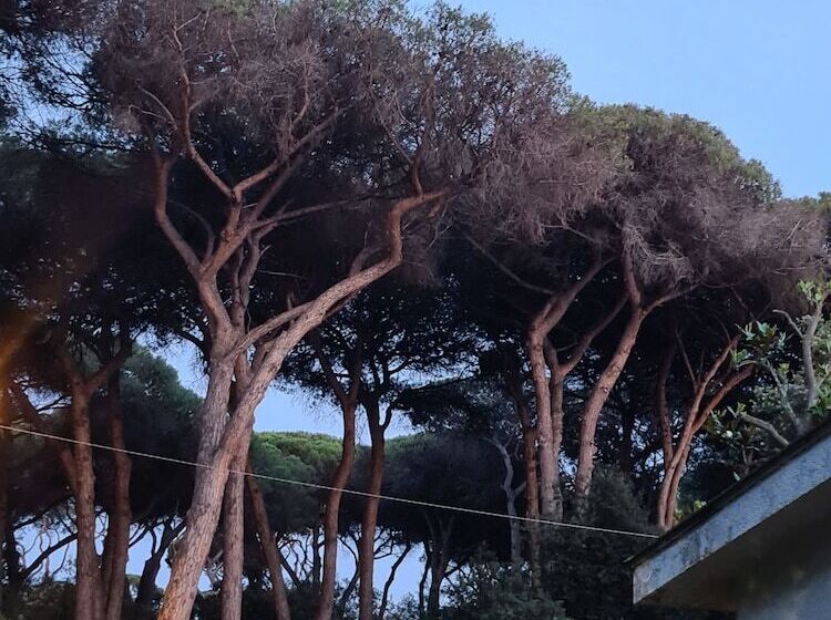 مبيت وإفطار La Casa Di Nataly