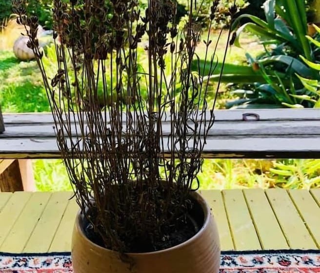 مبيت وإفطار La Casa Di Nataly