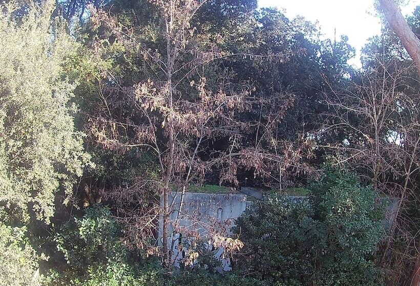 مبيت وإفطار La Casa Di Nataly