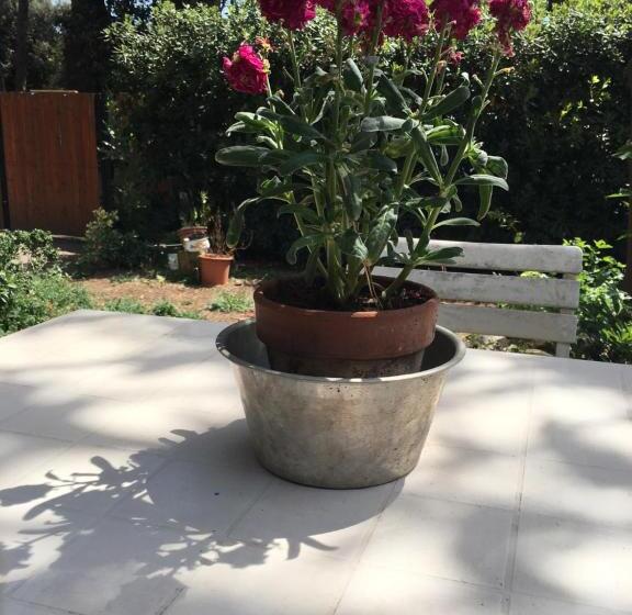 مبيت وإفطار La Casa Di Nataly