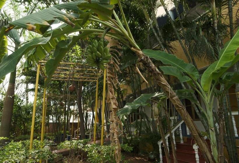 ベッドアンドブレックファースト Sunshine Guest House