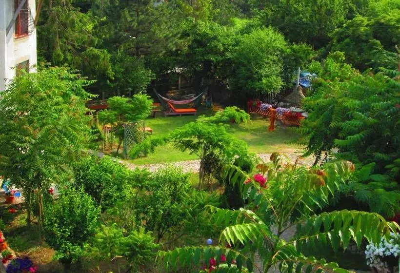 تختخواب و صبحانه Vamabel House