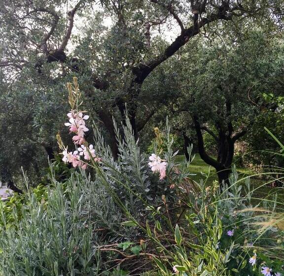 민박 Villa Gilda Relax & Living