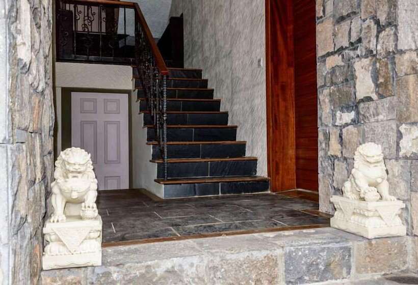 تختخواب و صبحانه Vintage Lodge