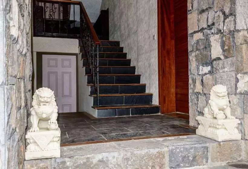 تختخواب و صبحانه Vintage Lodge