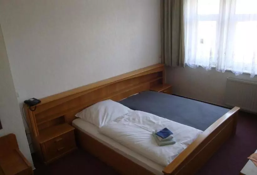 Hotel Goldener Löwe Triebes