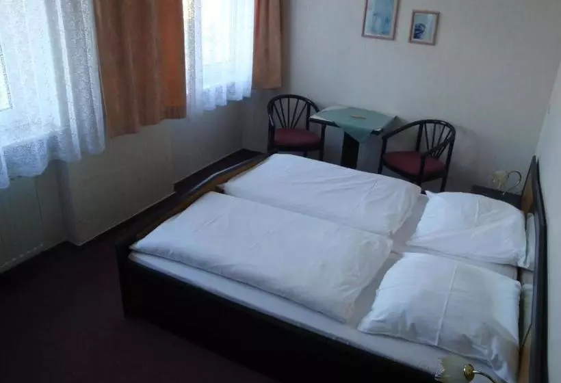 Hotel Goldener Löwe Triebes