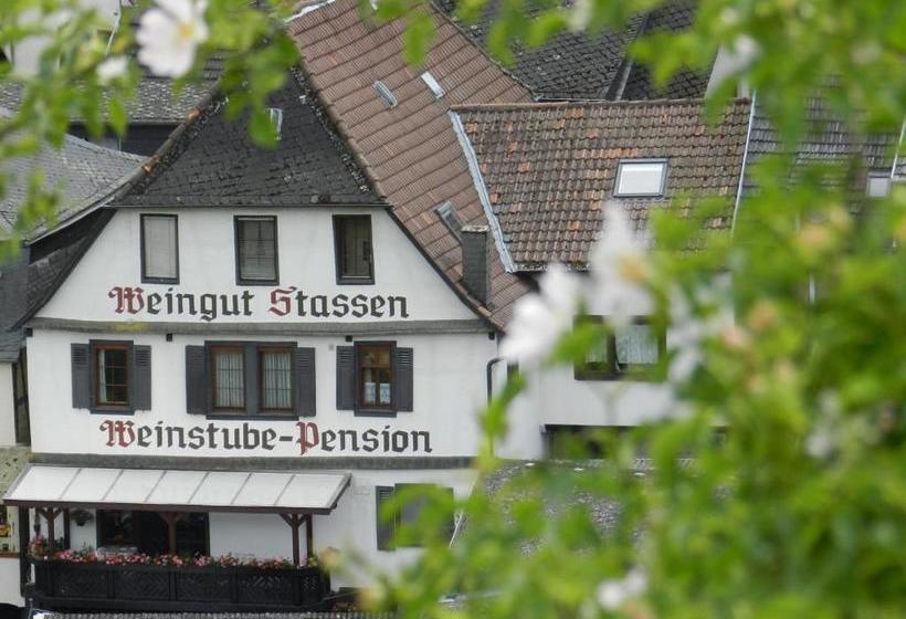 בית מלון כפרי Weingut Stassen