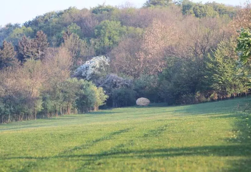 Hotelli Zum Herrenhaus