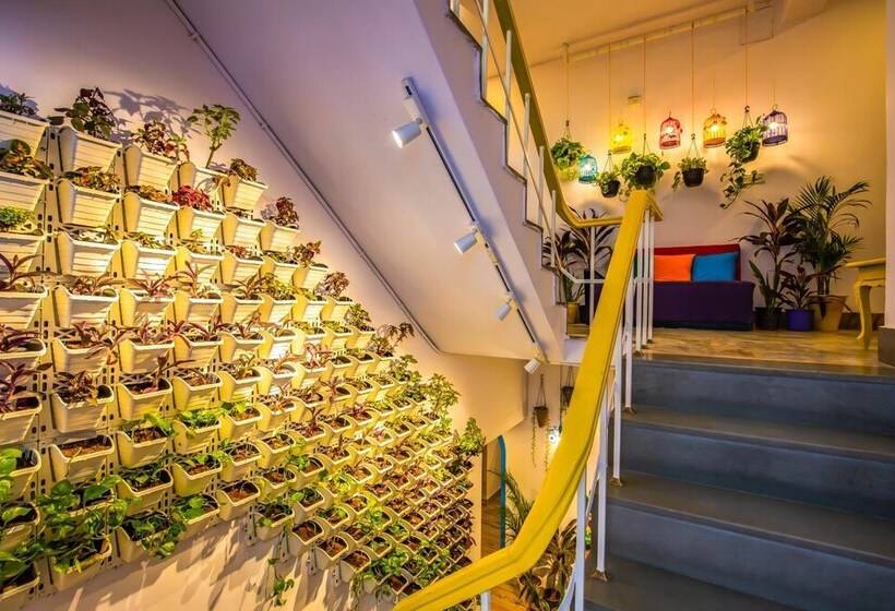 Hostel Gostops Jaipur