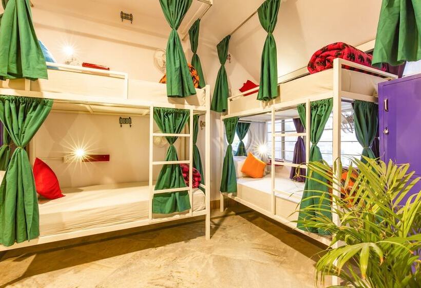 Hostel Gostops Jaipur