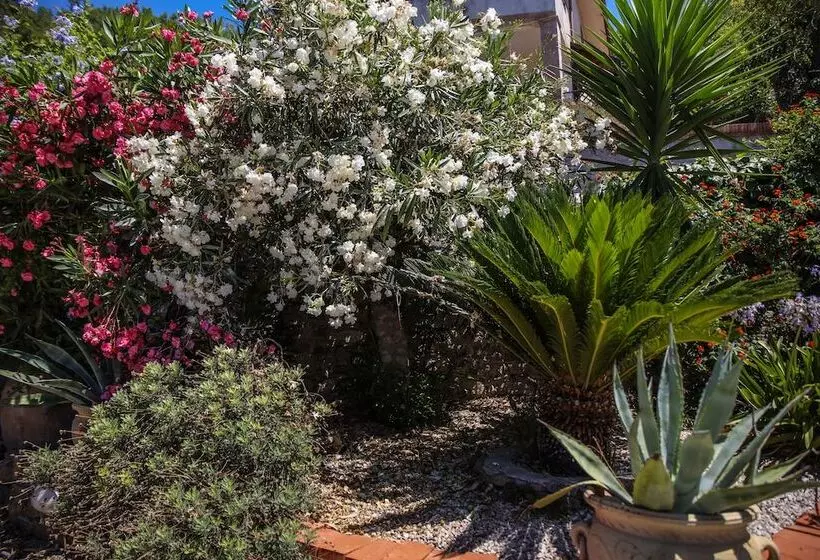 B&b La Residenza Torchiara