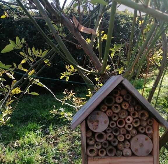 B&b Tre Conigli Sul Comò