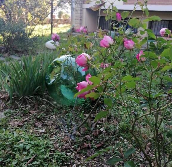 B&b Tre Conigli Sul Comò